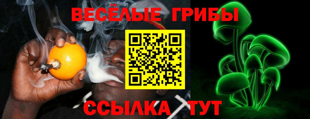 Псилоцибиновые грибы Magic Shrooms Шадринск