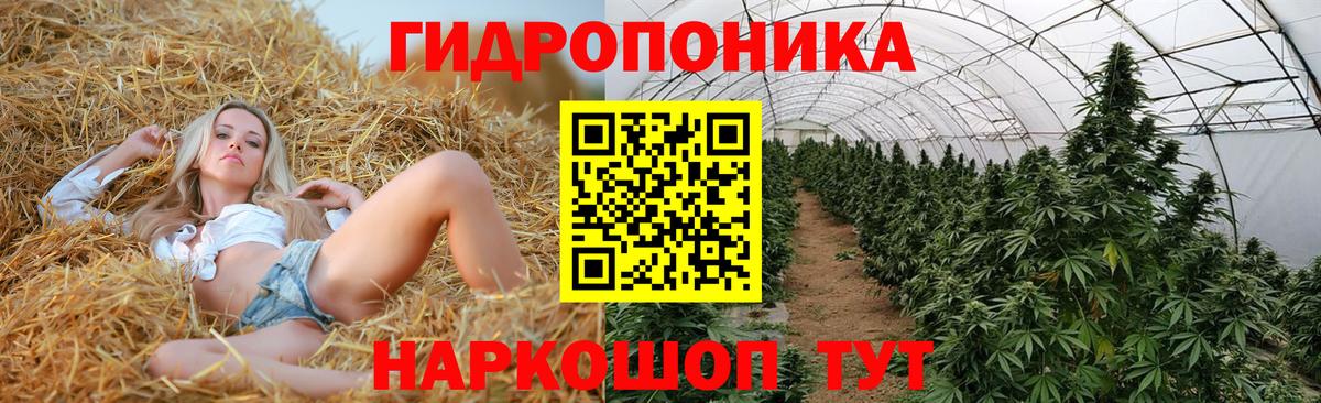 Конопля план  Конопля MAZAR  Бошки марихуана Bruce Banner  Шадринск  Шишки марихуана конопля  Вход с VPN 